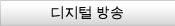 디지털 방송