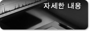 자세한 내용