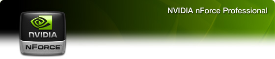 NVIDIA nForce Professional