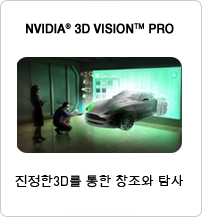 3D Vision Pro