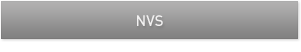 NVS 기업용 그래픽