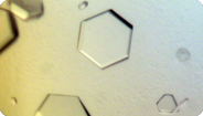 Microscopic protein crystalline structures