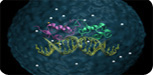 Bio-Informatics and Life Sciences