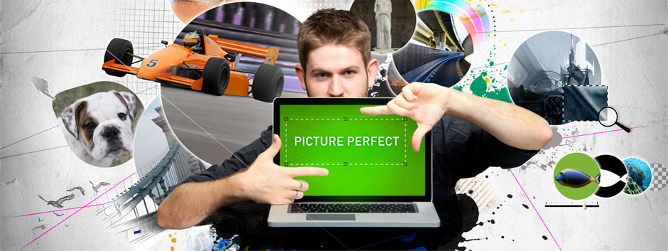 Picture Perfect