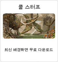 쿨 스터프