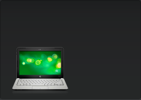 HP Mini 311