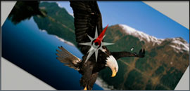 Adobe Photoshop CS4