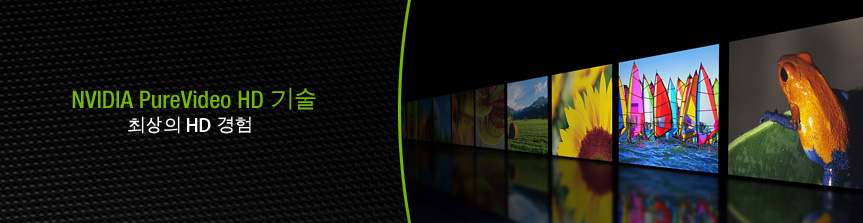 NVIDIA PureVideo HD Technology: For the Ulitmate HD Experience