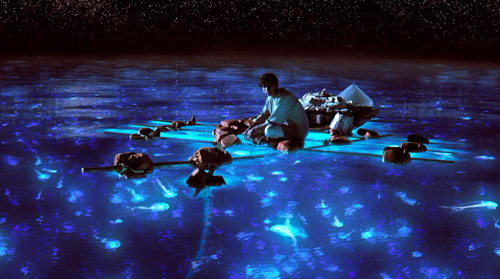 life-of-pi_luminescent-sea.jpg